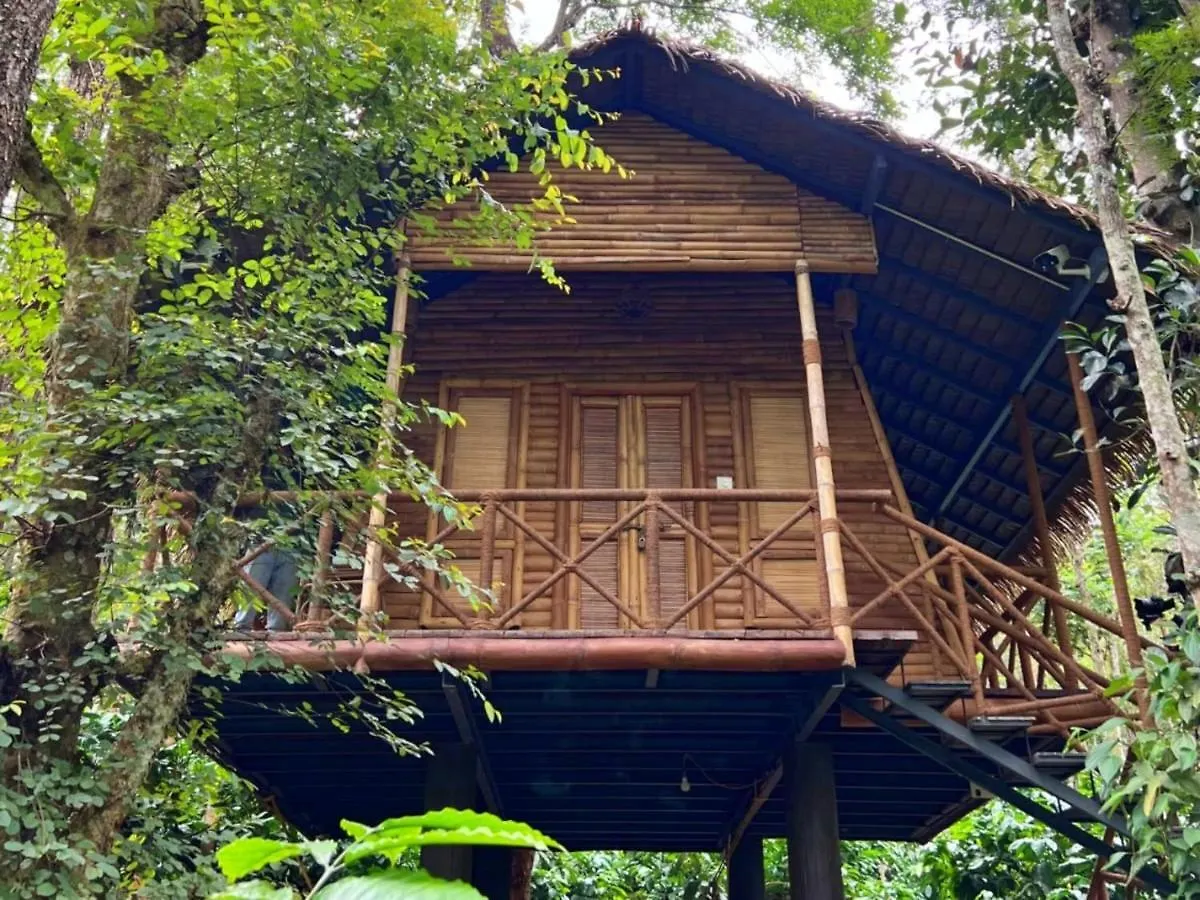 Adrak Mountain Mist Forest Resort Pulpally 0*,
