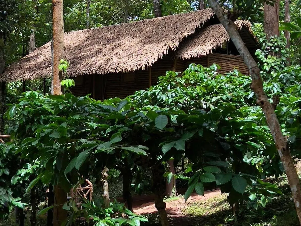 Adrak Mountain Mist Forest Resort Pulpally